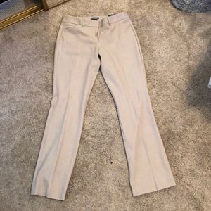 NWT Express Editor barely boot pants